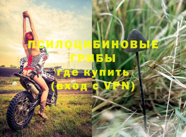 скорость Белокуриха