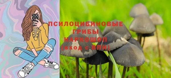 дурь Богородицк